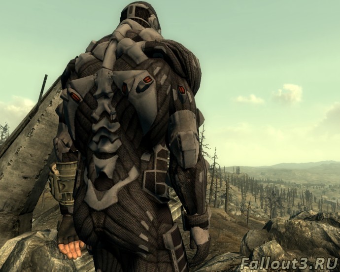 Crysis в Fallout 3 (2)
